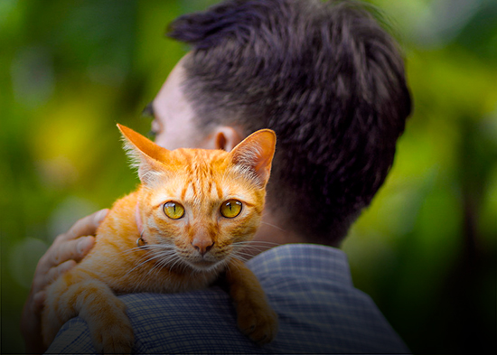 Ofrece todos sus ahorros a quien cuide a su gata tras su muerte