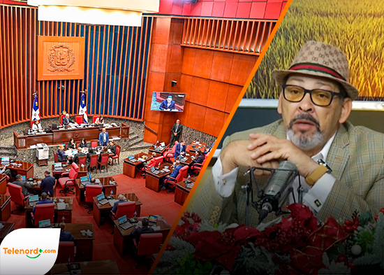 Amado José Rosa critica licitación del Senado para bonos navideños es una forma más de corrupción y despilfarro