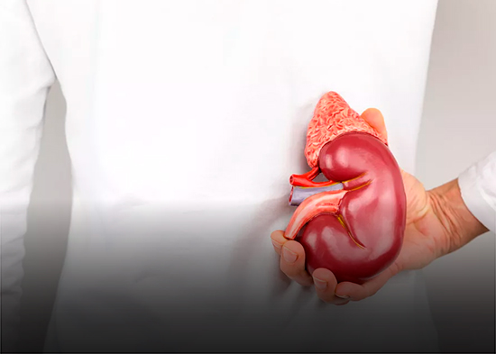 ¿Cómo es la vida con un riñón de otra persona? Testimonios y retos del trasplante