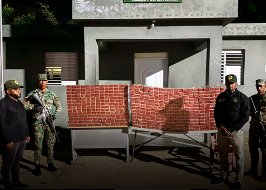 Ocupan contrabando de más de 224 mil cigarrillos abandonados en unos matorrales en Dajabón y Elías Piña