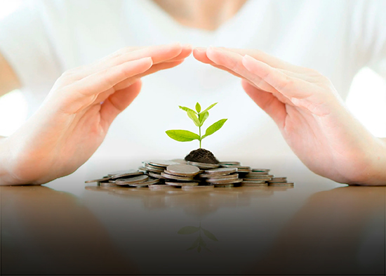 Medidas clave para fortalecer tu seguridad financiera y proteger tus ahorros