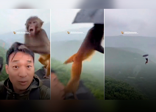 Mono roba un paraguas y sale volando 'al infinito' en un SUPERVIRAL VIDEO de IA con millones de visualizaciones