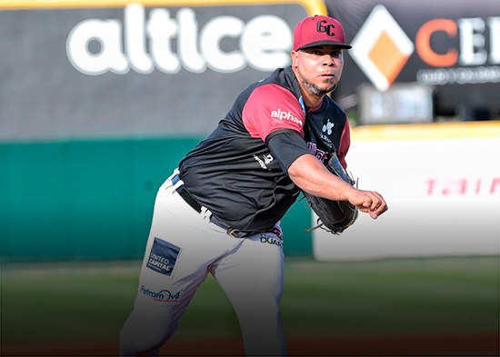 Gigantes y Leones dividen honores en continuación del béisbol profesional dominicano