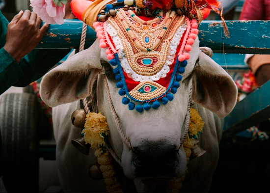 Editorial de NTN: "Metamensaje"