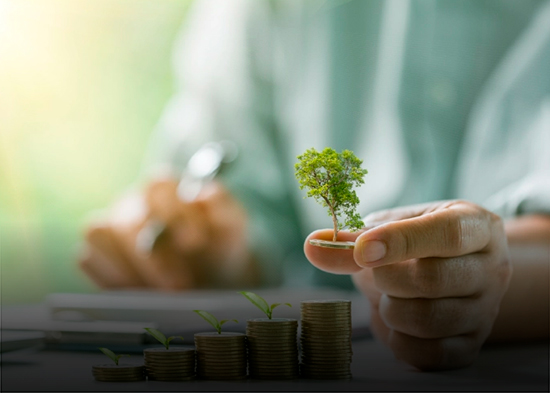 Finanzas verdes: el motor de una economía más sostenible