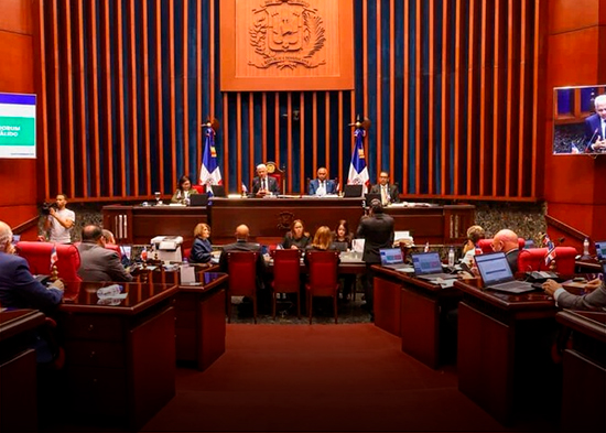 La reforma policial sigue dando vueltas en comisiones del Congreso