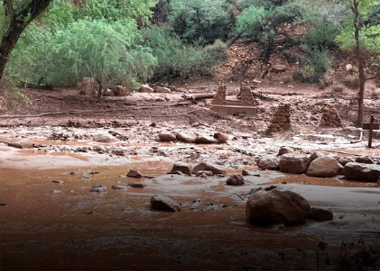 Al menos 15 personas podrían estar desaparecidas tras repentina inundación en Gran Cañón