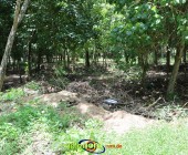 Image00002 Image00002