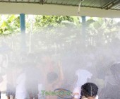 telenord00161 telenord00161