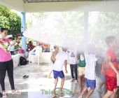 telenord00166 telenord00166