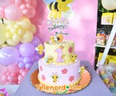 telenord00017