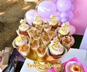 telenord00024
