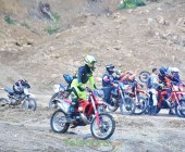 telenord00039 telenord00039
