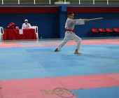 telenord00036 telenord00036