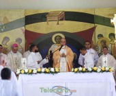 telenord00135 telenord00135