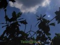 telenord00003