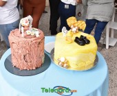 telenord037