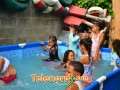 imagen00206