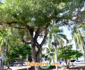 telenord00048