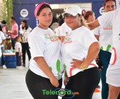 telenord159 telenord159